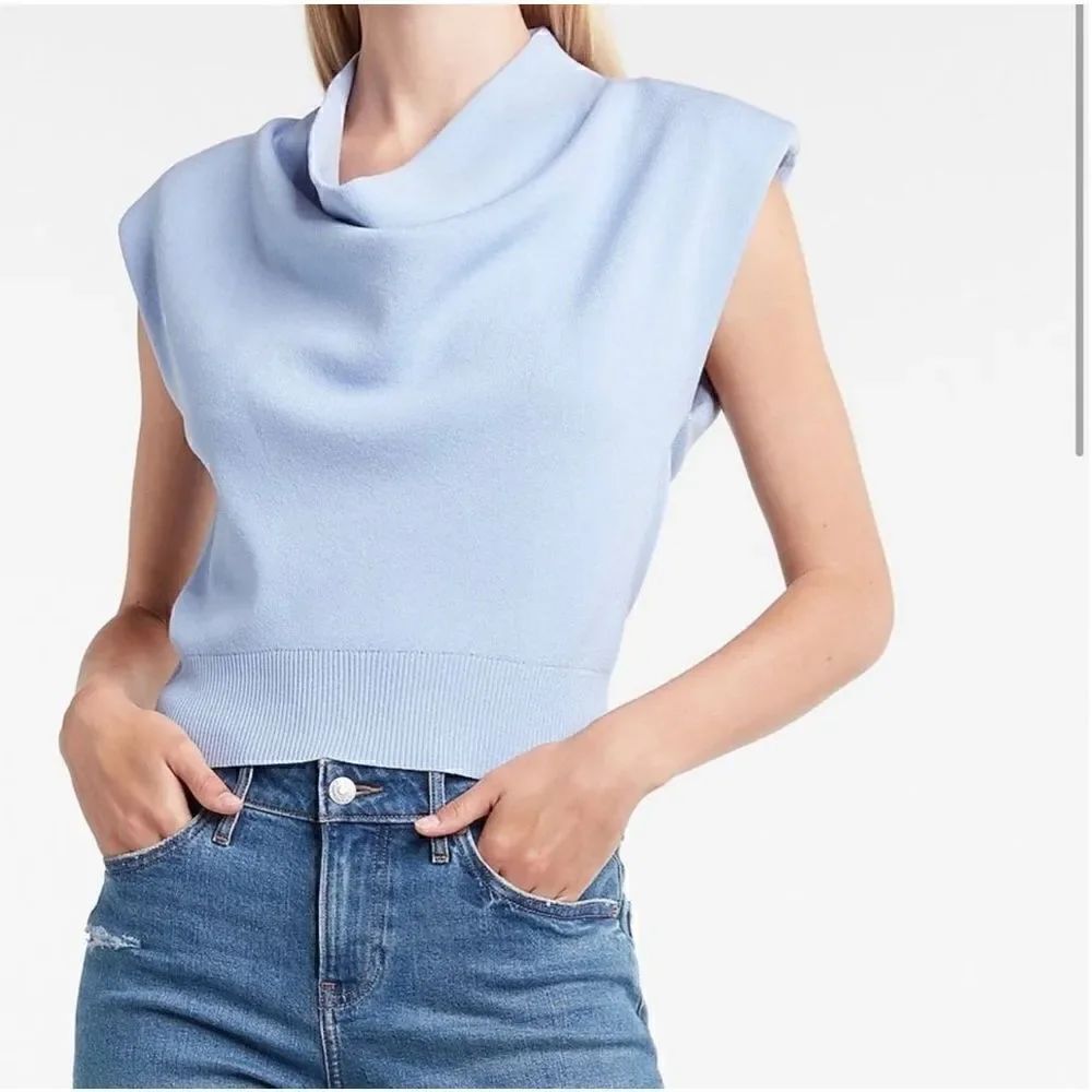 Express Sleeveless Sweater